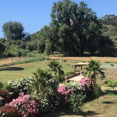Appartement Appart Vue Mer St Florent Saint-Florent (Corsica)